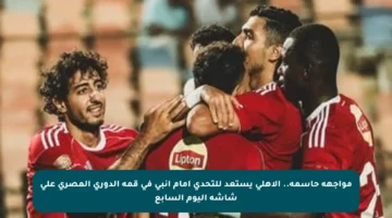 مواجهة حاسمة.. الأهلي يستعد للتحدي أمام إنبي في قمة الدوري المصري على شاشة اليوم السابع